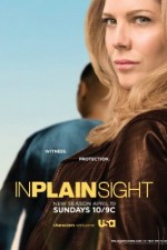 Watch In Plain Sight 123movieshub